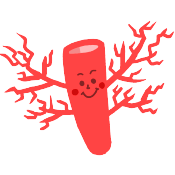 毛細血管